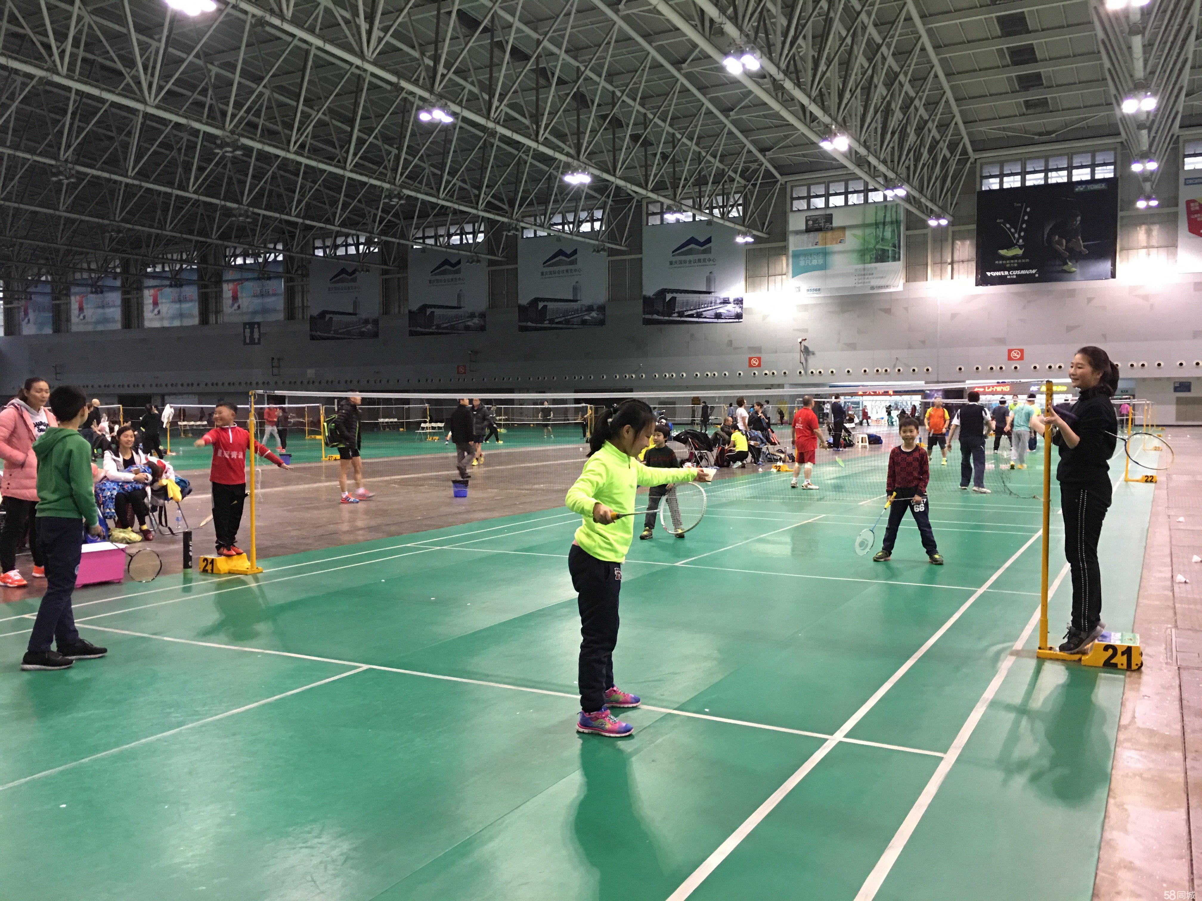 频率明显提 频率明显提